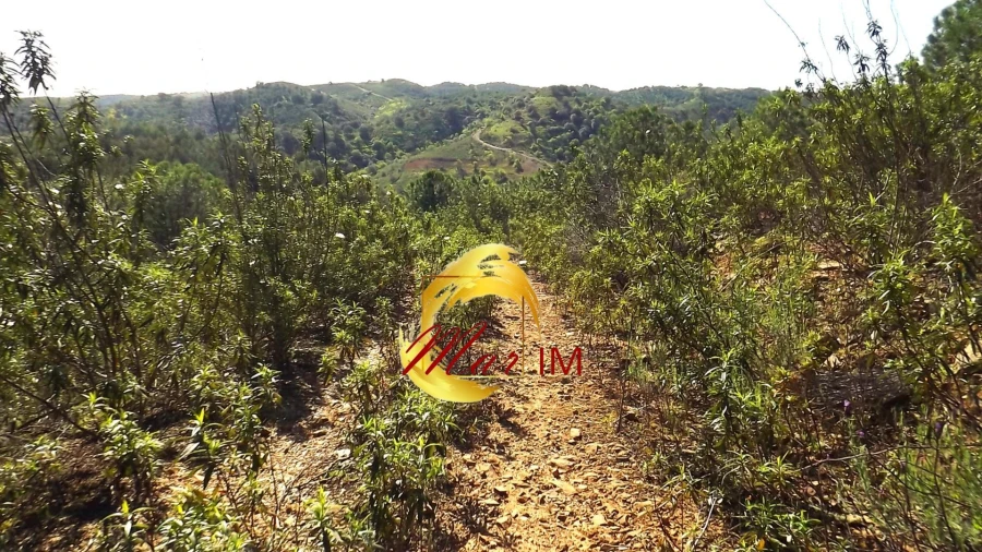 Terreno Agricola ou Rústico para Venda em Odeleite Foto 50