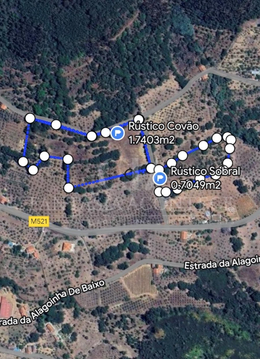 Terreno para Venda em Reguengo e São Julião Foto 6