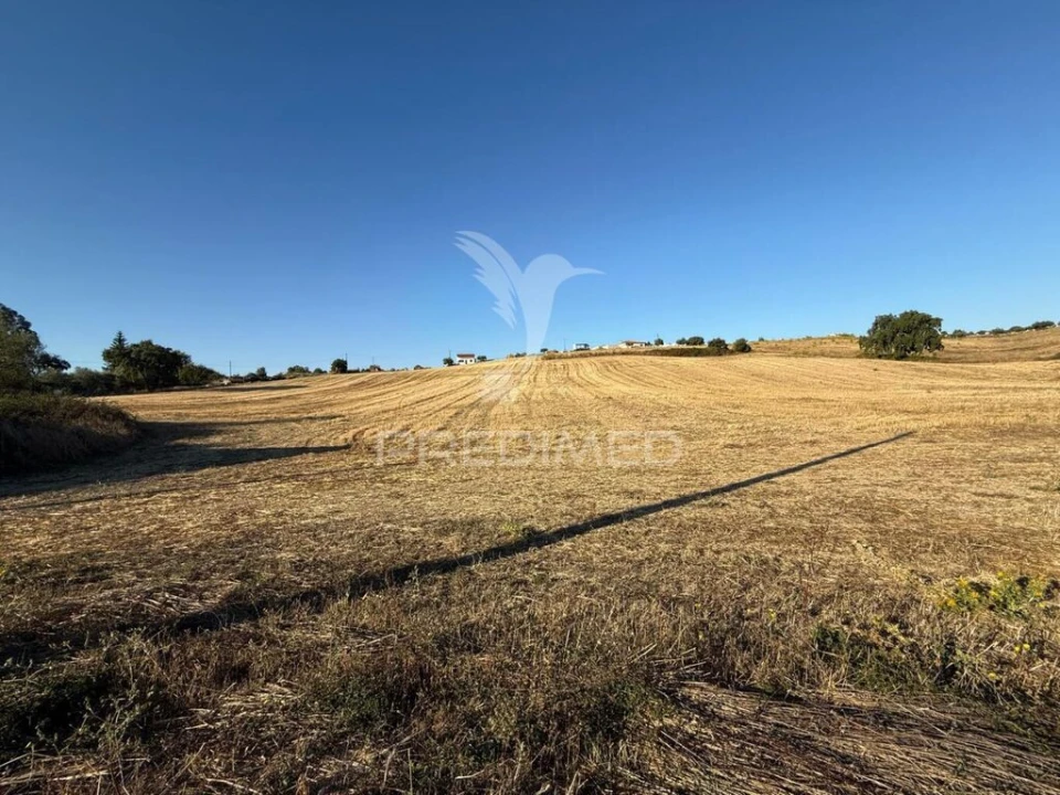 Moradia T3 para Venda em Achete, Azoia de Baixo e Póvoa de Santarém Foto 20