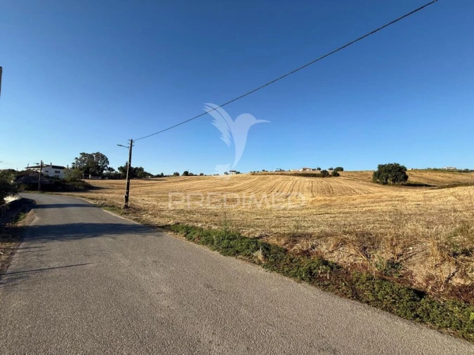 Moradia T3 para Venda em Achete, Azoia de Baixo e Póvoa de Santarém Foto 17