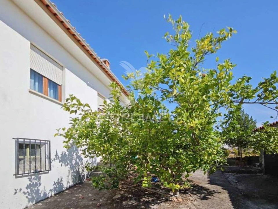 Moradia T5 para Venda em Proença-A-Nova e Peral Foto 7