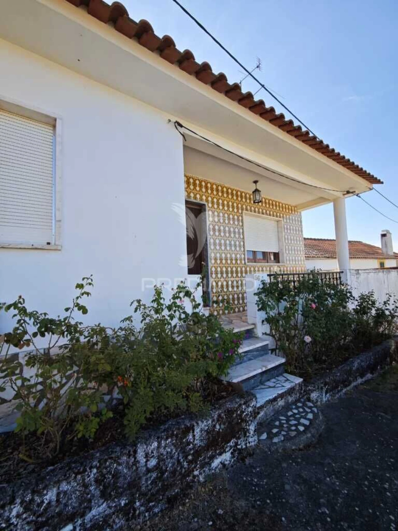 Moradia T5 para Venda em Proença-A-Nova e Peral Foto 1