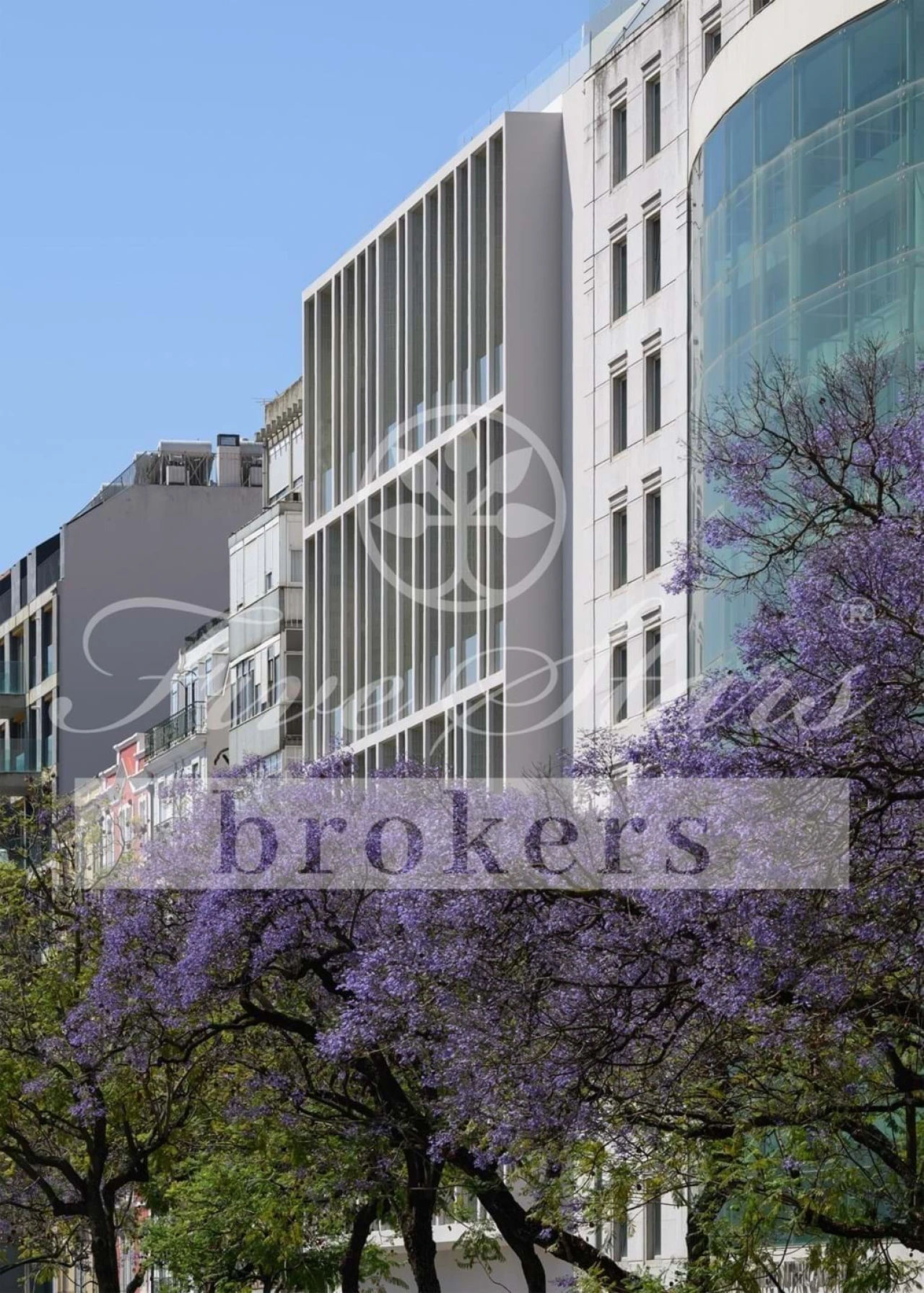 Negócio para Venda em Avenidas Novas Foto 2