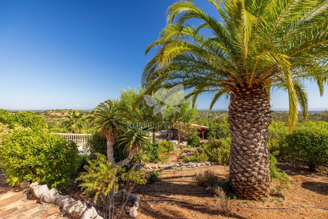 Moradia T3 para Venda em Olhão Foto 25