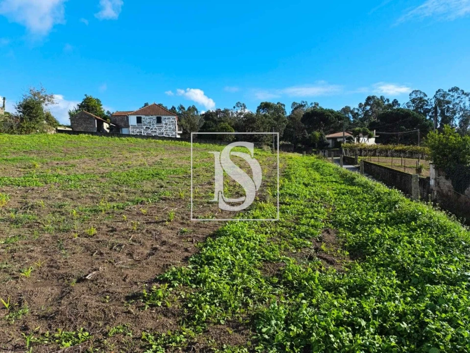 Terreno para Venda em Macieira de Rates Foto 6