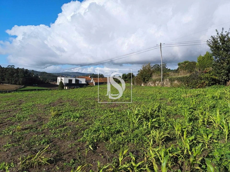 Terreno para Venda em Macieira de Rates Foto 18