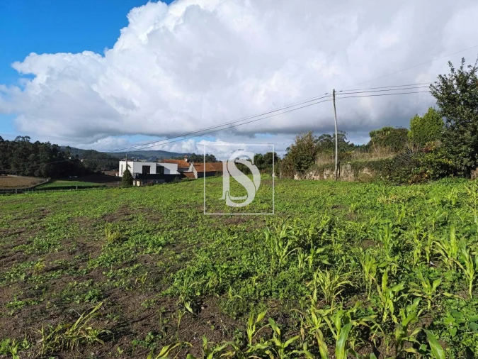 Terreno para Venda em Macieira de Rates Foto 18