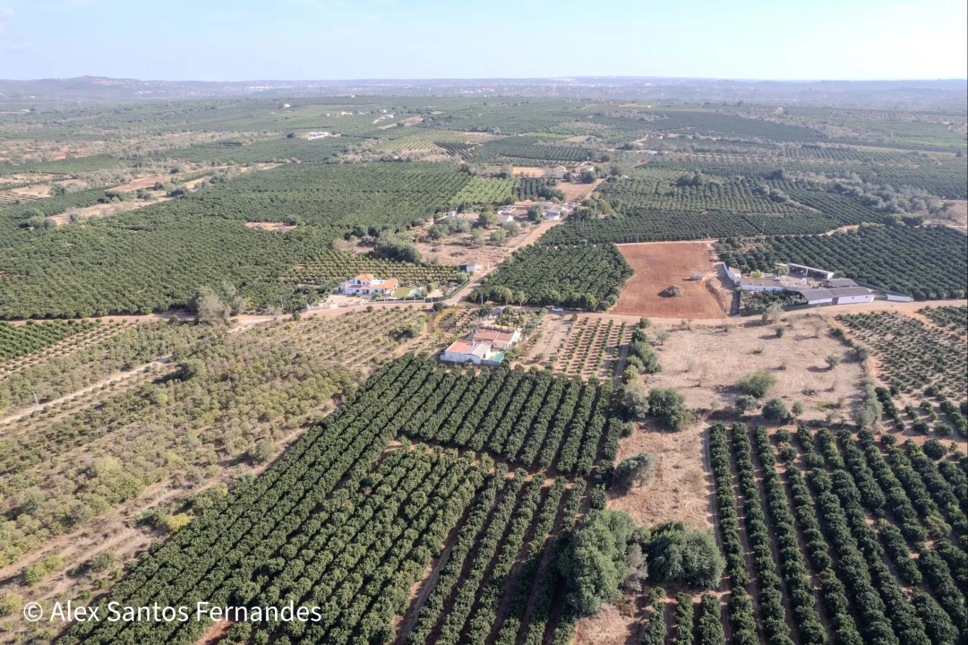 Moradia T5 para Venda em São Bartolomeu de Messines Foto 12