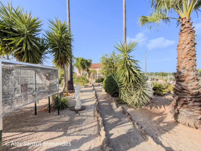 Moradia T5 para Venda em São Bartolomeu de Messines Foto 13