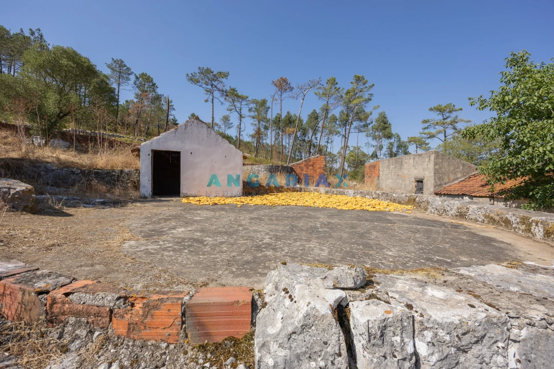 Moradia T3 para Venda em Serro Ventoso Foto 39