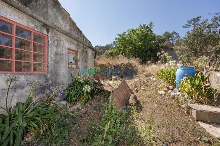 Moradia T3 para Venda em Serro Ventoso Foto 32