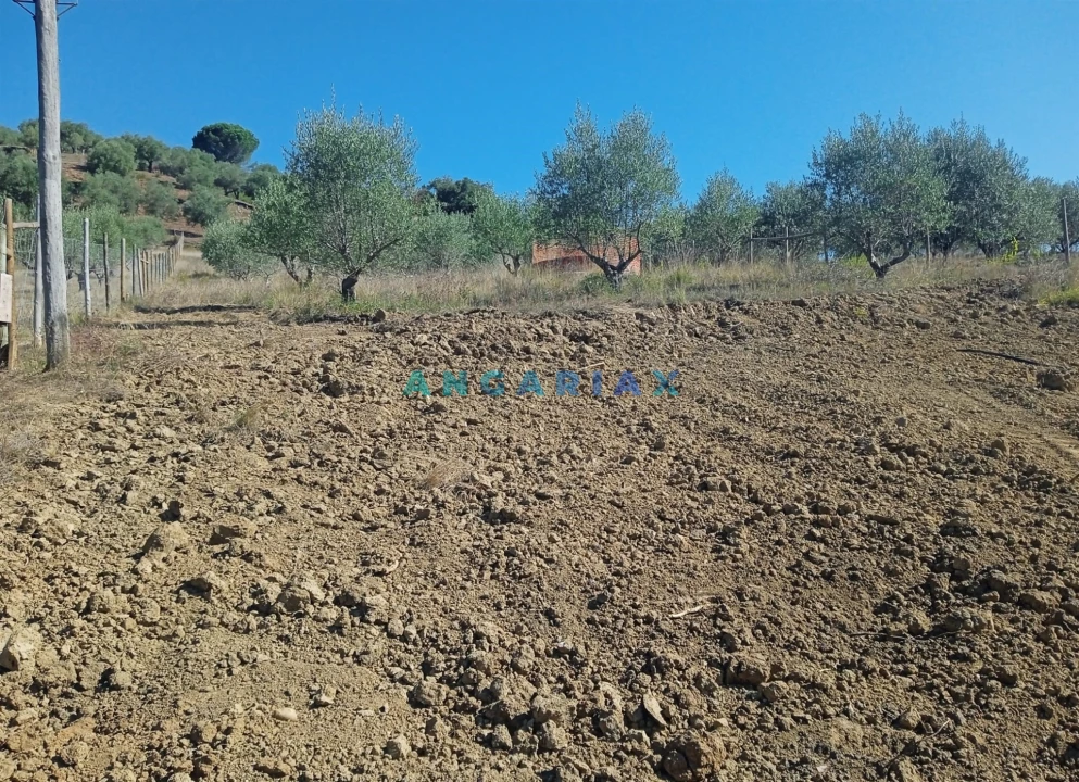 Terreno para Venda em Batalha Foto 2