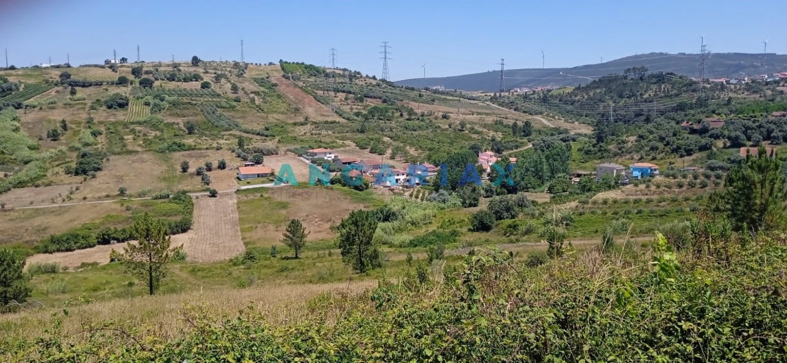 Terreno para Venda em Batalha Foto 2