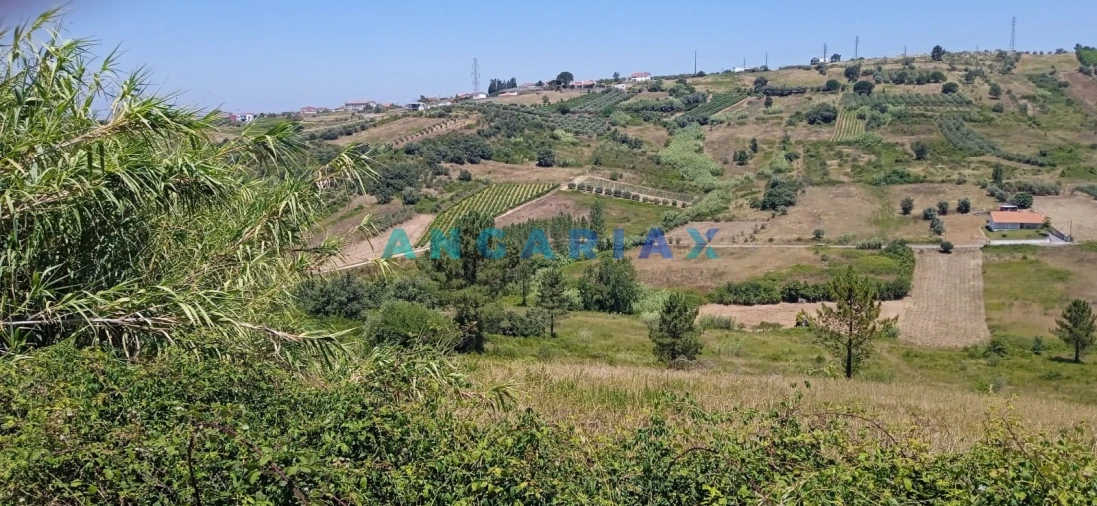 Terreno para Venda em Batalha Foto 1