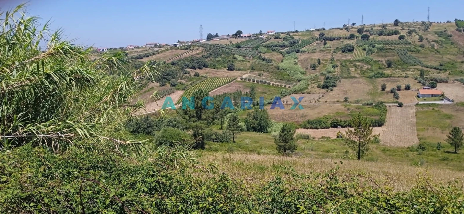 Terreno para Venda em Batalha Foto 4