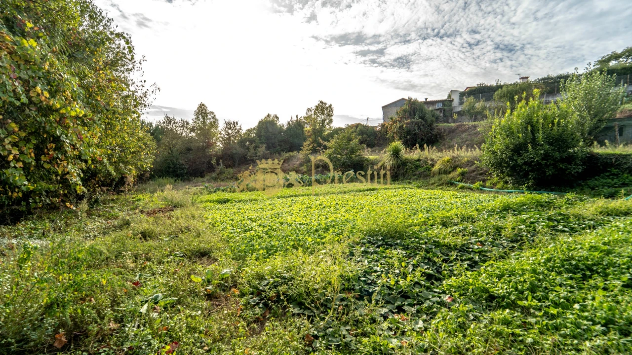 Quinta T0 para Venda em Infias Foto 10