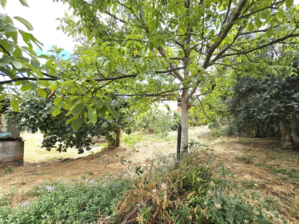 Moradia T3 para Venda em São Pedro de France Foto 19