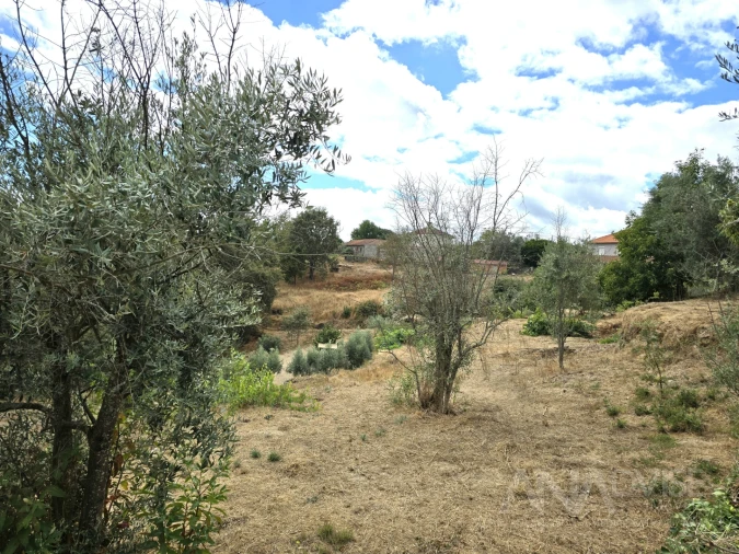 Moradia T3 para Venda em São Pedro de France Foto 5