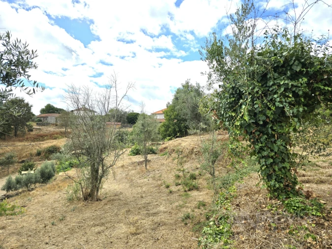 Moradia T3 para Venda em São Pedro de France Foto 6