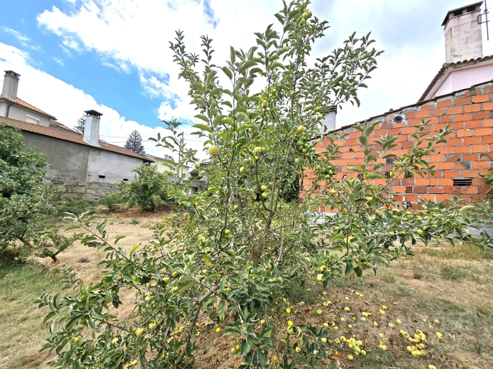 Moradia T3 para Venda em São Pedro de France Foto 13