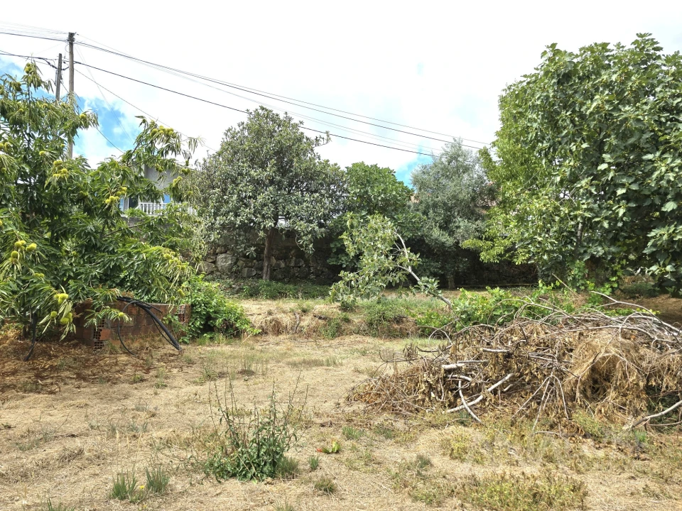 Moradia T3 para Venda em São Pedro de France Foto 18