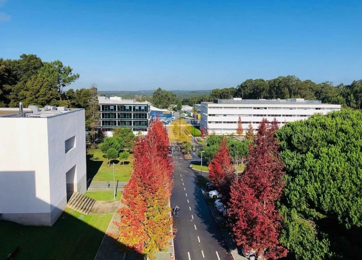 Terreno para Venda em Castêlo da Maia Foto 10