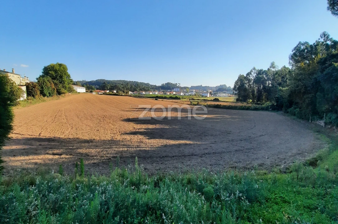 Terreno para Venda em Alvarelhos e Guidões Foto 2