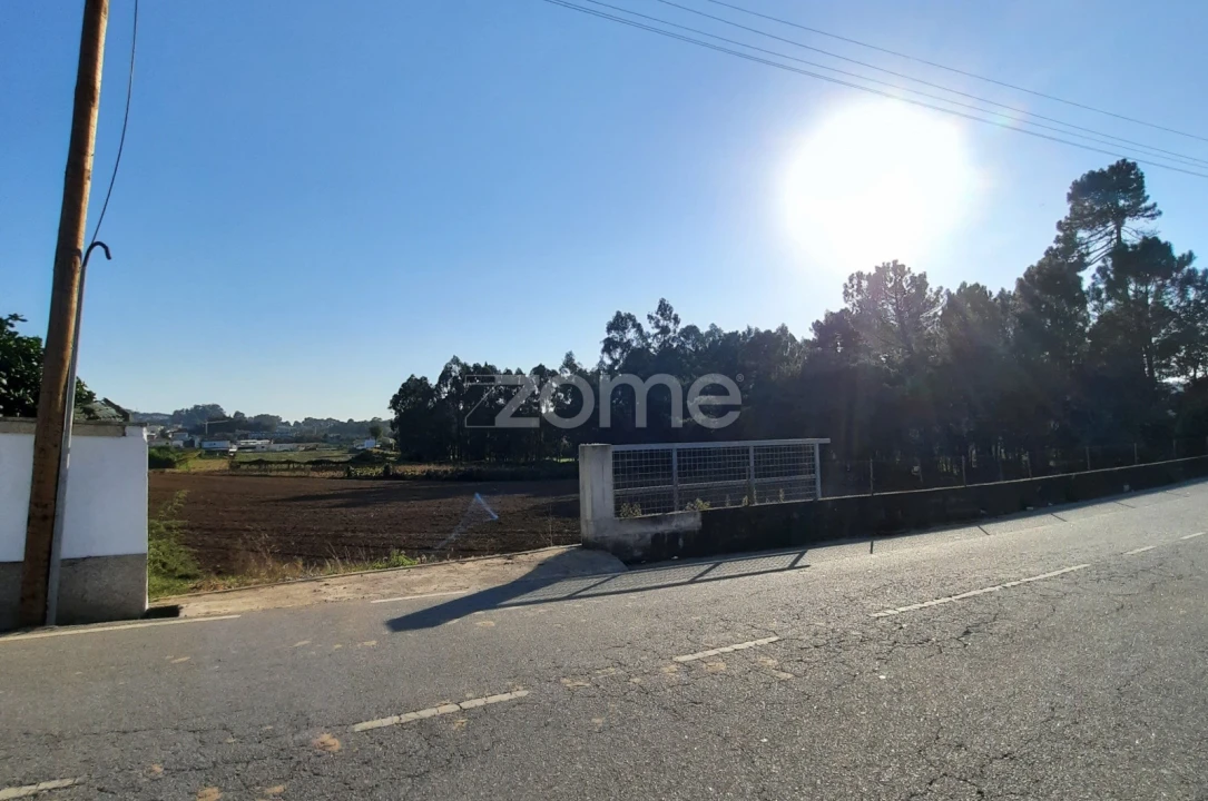 Terreno para Venda em Alvarelhos e Guidões Foto 10