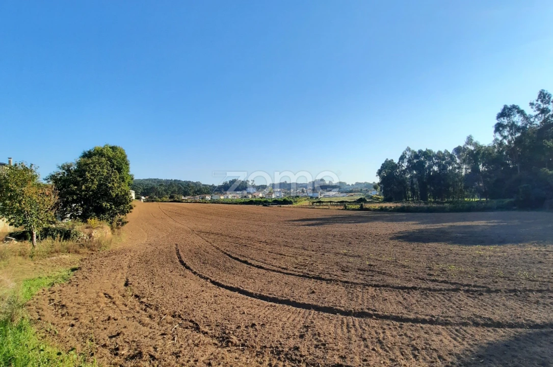 Terreno para Venda em Alvarelhos e Guidões Foto 6