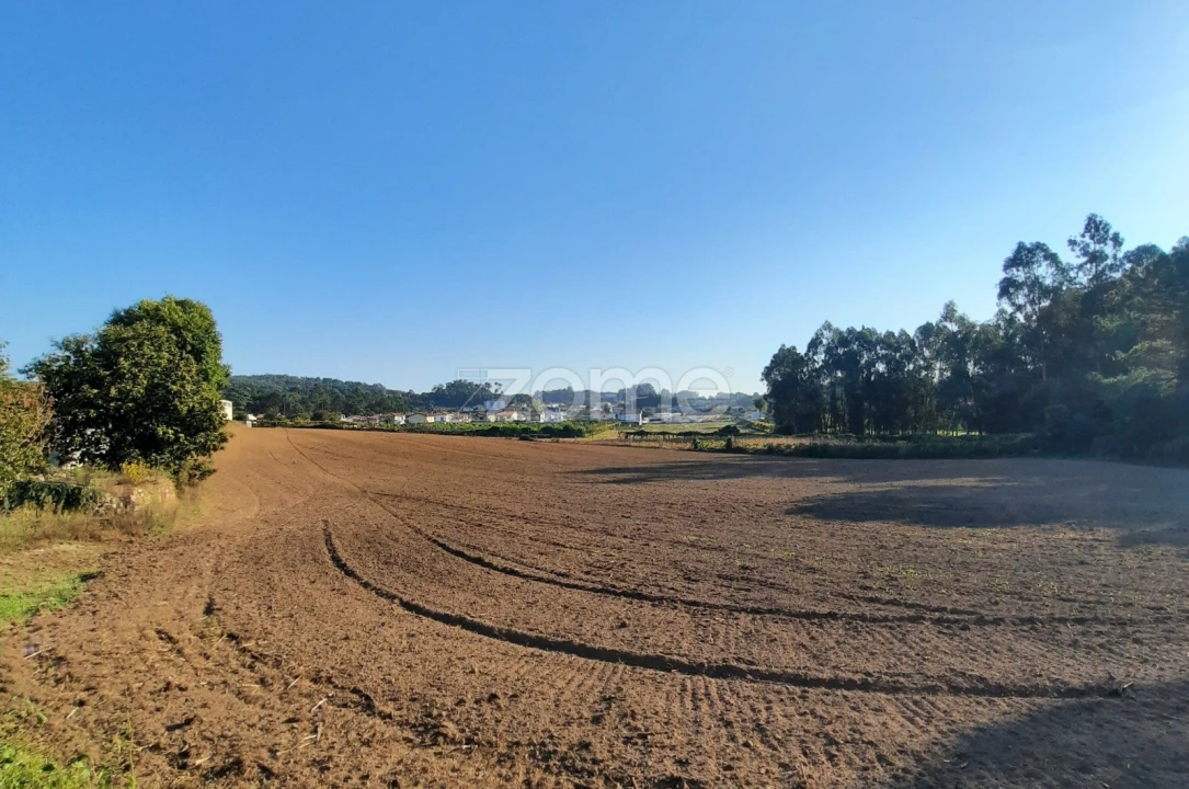 Terreno para Venda em Alvarelhos e Guidões Foto 7