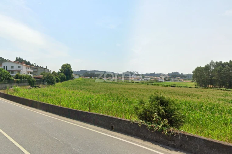 Terreno para Venda em Alvarelhos e Guidões Foto 13