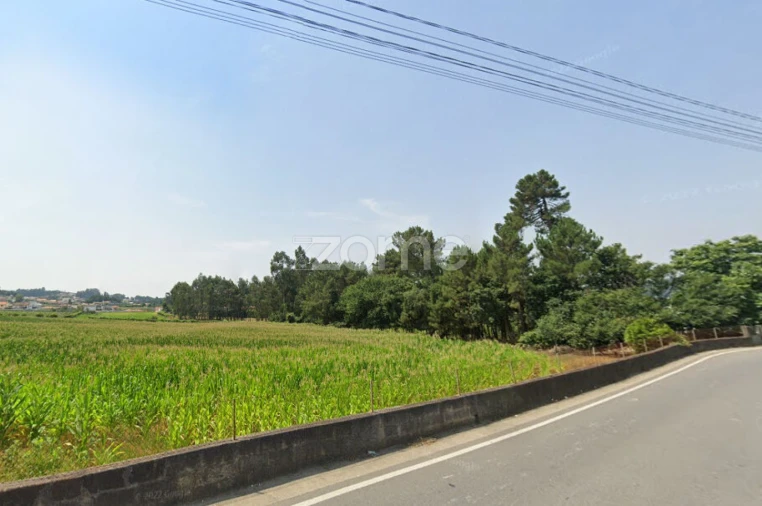 Terreno para Venda em Alvarelhos e Guidões Foto 14