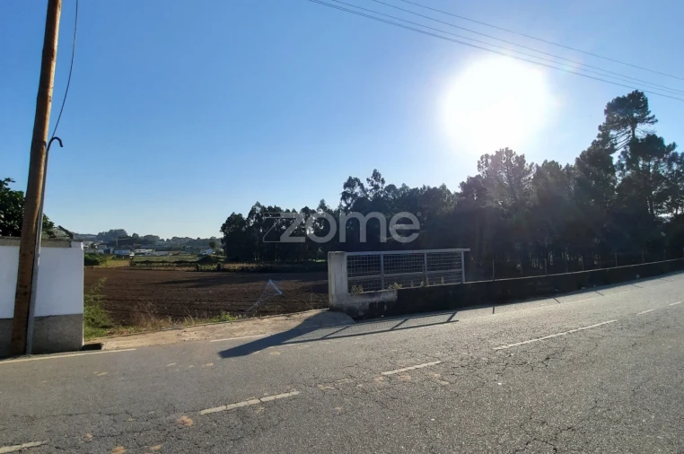 Terreno para Venda em Alvarelhos e Guidões Foto 10