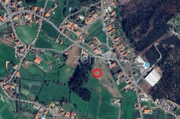 Terreno para Venda em Alvarelhos e Guidões Foto 9