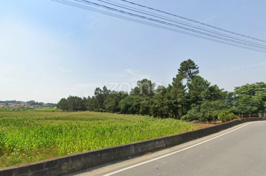 Terreno para Venda em Alvarelhos e Guidões Foto 14