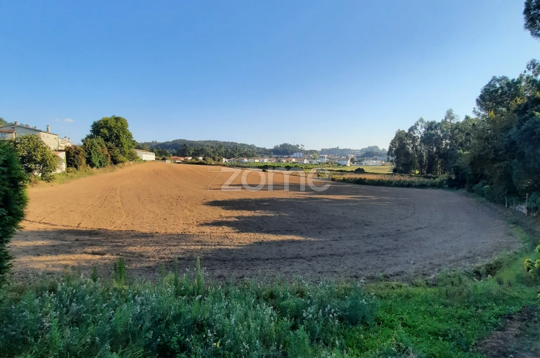 Terreno para Venda em Alvarelhos e Guidões Foto 5