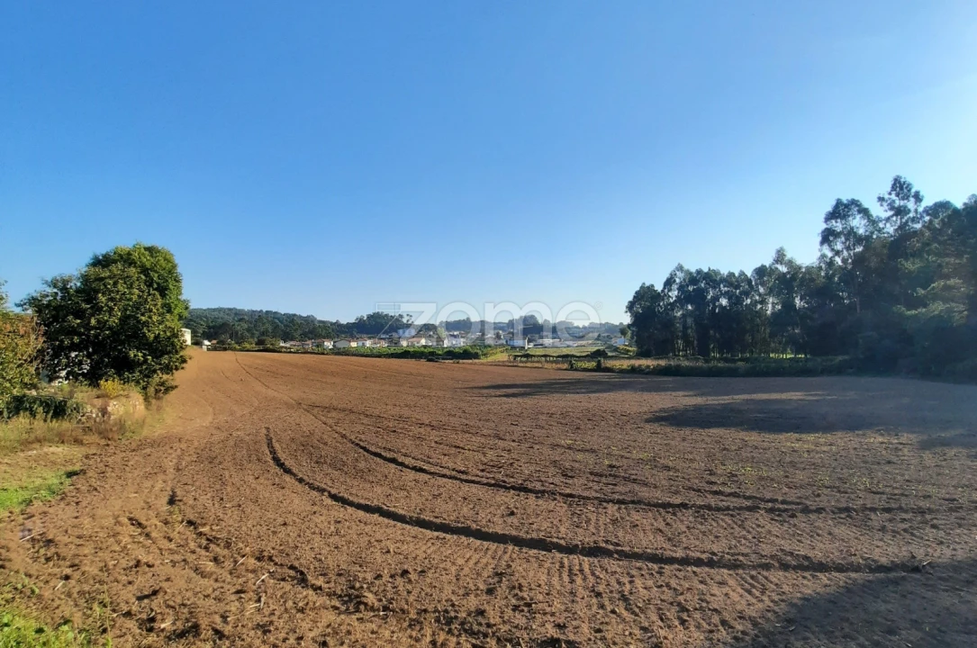 Terreno para Venda em Alvarelhos e Guidões Foto 10