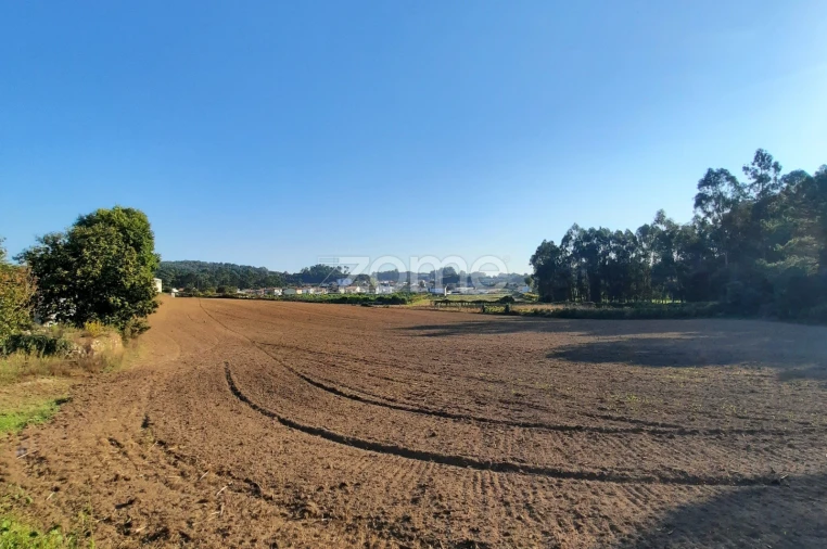 Terreno para Venda em Alvarelhos e Guidões Foto 9