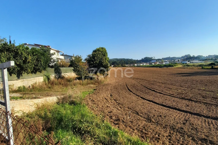 Terreno para Venda em Alvarelhos e Guidões Foto 12