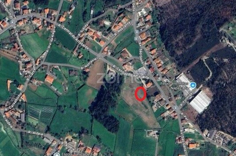 Terreno para Venda em Alvarelhos e Guidões Foto 14