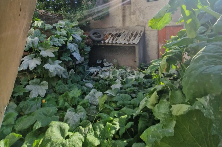 Moradia T7 para Venda em Vila Nova de Tazem Foto 18