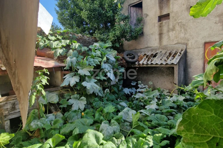 Moradia T7 para Venda em Vila Nova de Tazem Foto 19