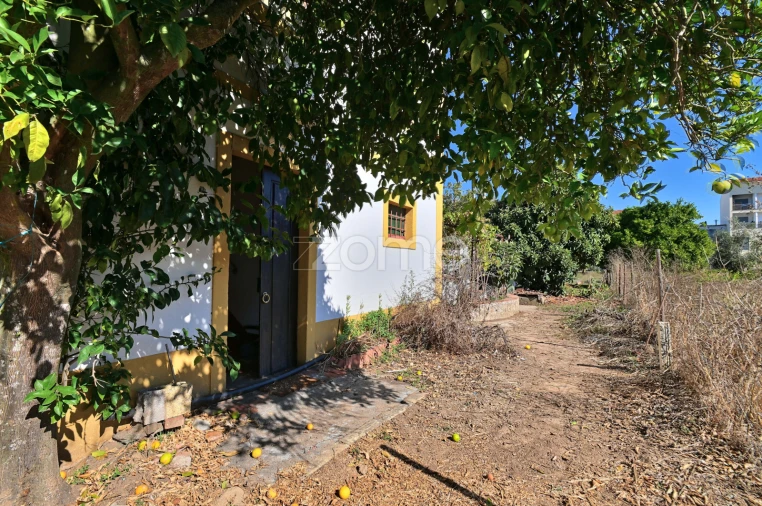 Quinta T5 para Venda em São Miguel do Rio Torto e Rossio Ao Sul do Tejo Foto 28