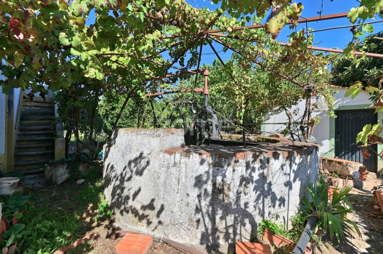 Quinta T5 para Venda em São Miguel do Rio Torto e Rossio Ao Sul do Tejo Foto 29