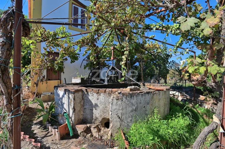 Quinta T5 para Venda em São Miguel do Rio Torto e Rossio Ao Sul do Tejo Foto 31
