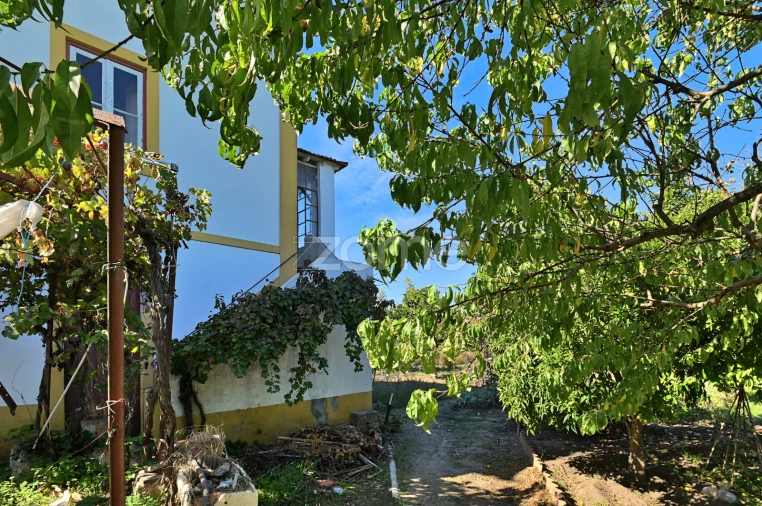 Quinta T5 para Venda em São Miguel do Rio Torto e Rossio Ao Sul do Tejo Foto 32