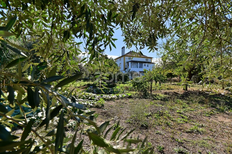 Quinta T5 para Venda em São Miguel do Rio Torto e Rossio Ao Sul do Tejo Foto 2