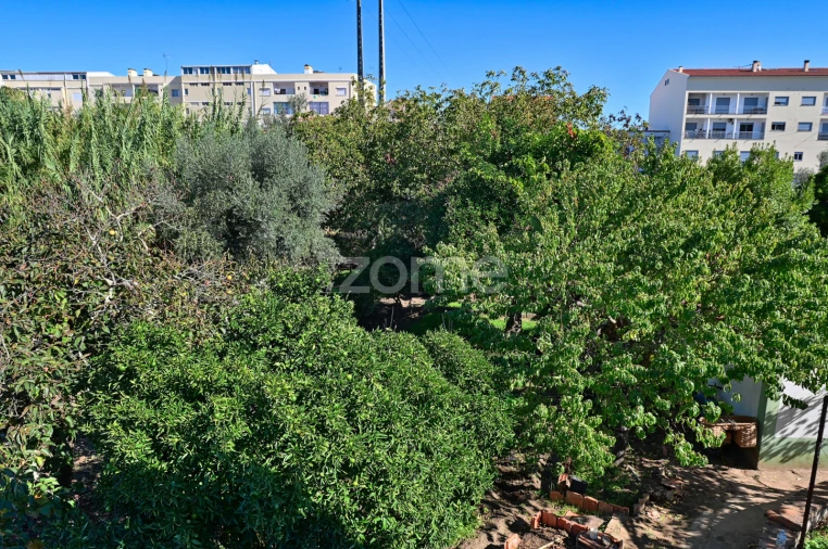 Quinta T5 para Venda em São Miguel do Rio Torto e Rossio Ao Sul do Tejo Foto 39