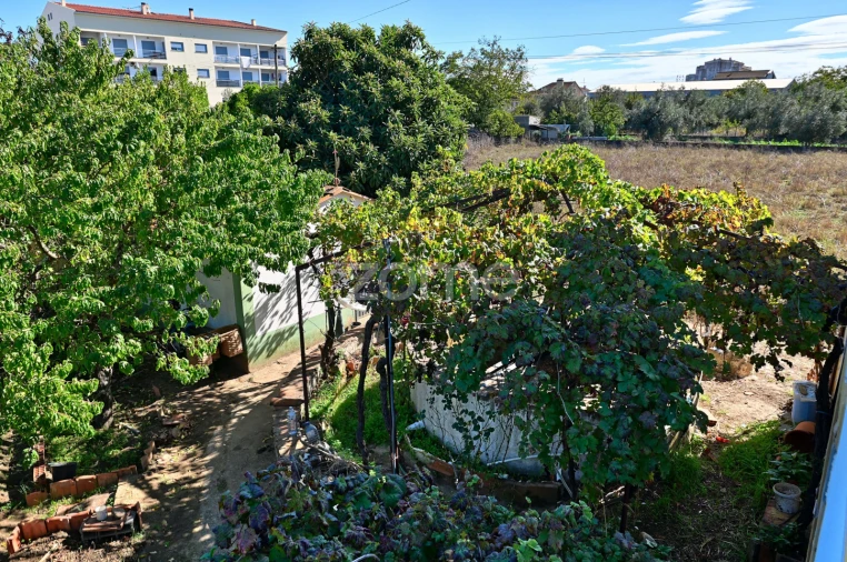 Quinta T5 para Venda em São Miguel do Rio Torto e Rossio Ao Sul do Tejo Foto 40