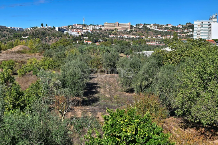 Quinta T5 para Venda em São Miguel do Rio Torto e Rossio Ao Sul do Tejo Foto 41